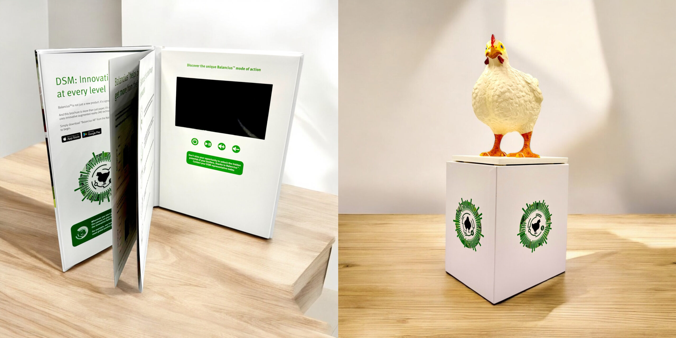 Poultry In Motion Booklet and chicken